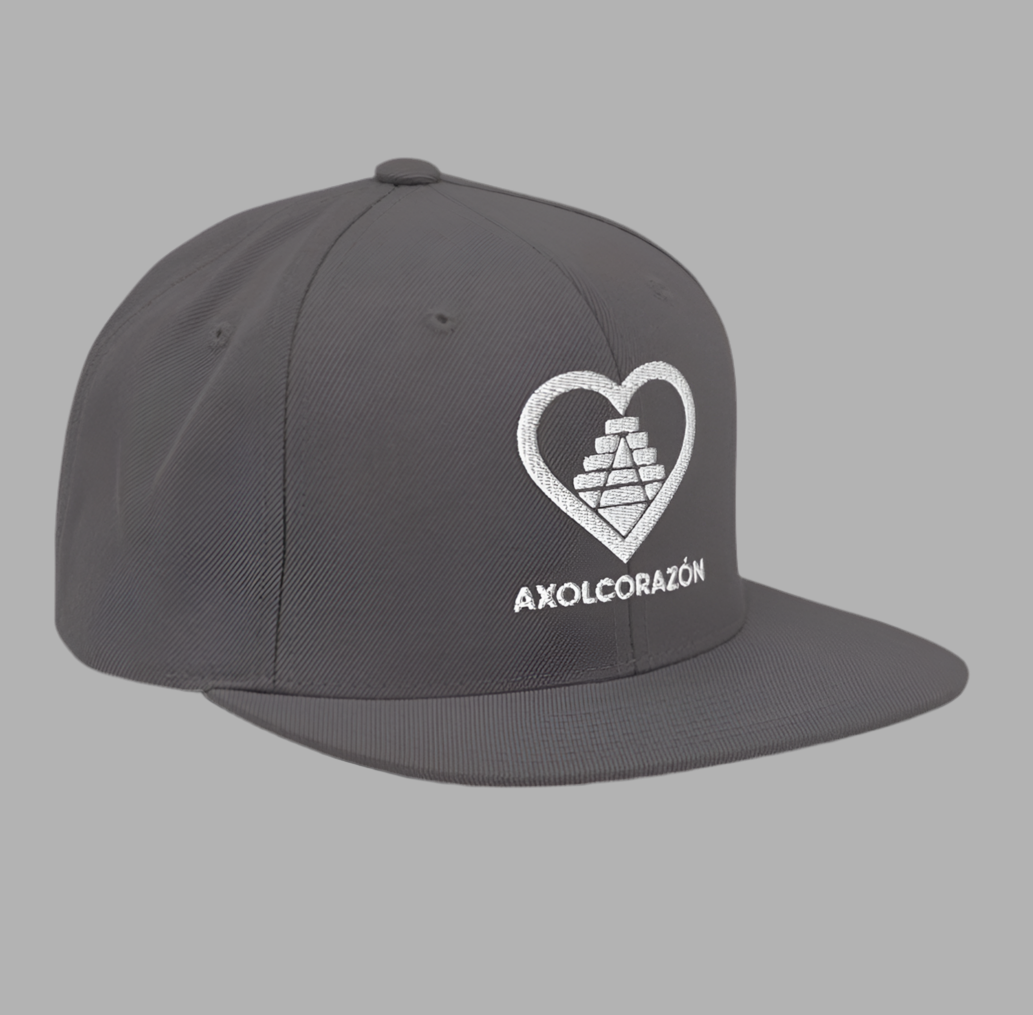 Casquette “Mythe” Grise unisex — style Snapback brodé