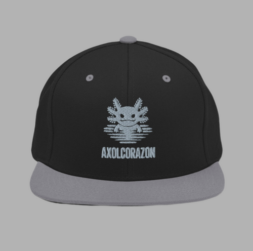 Casquette “El Original”— Noir et grise unisex — style SnapBack brodé