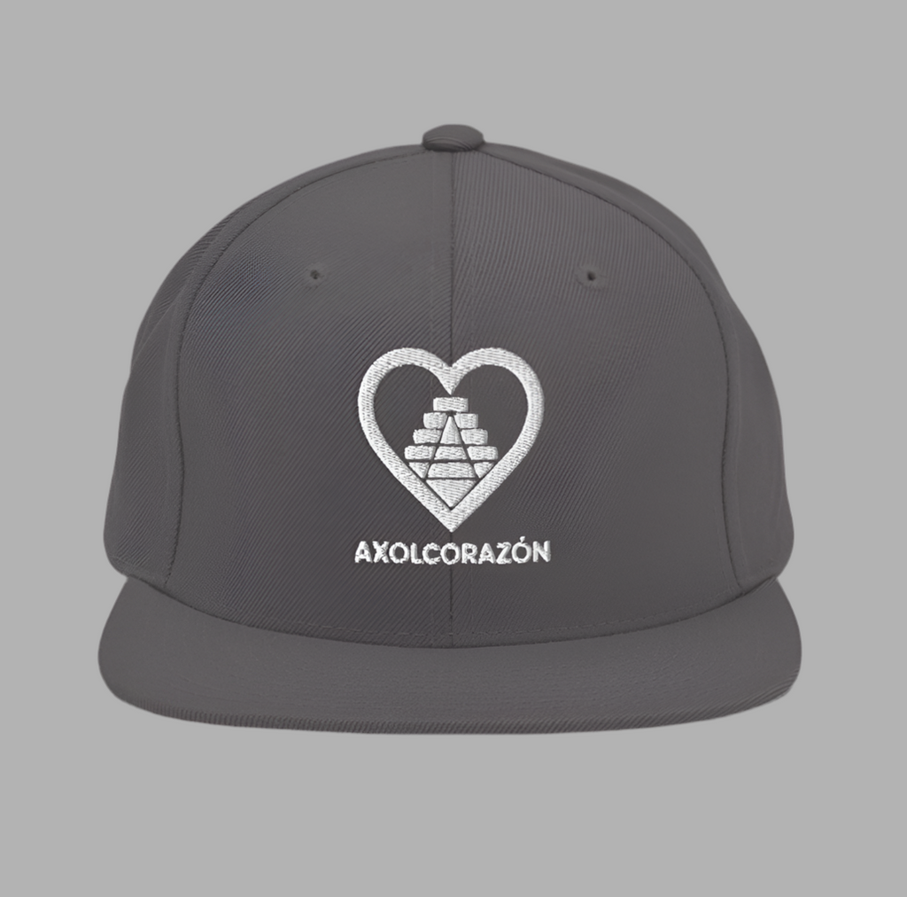 Casquette “Mythe” Grise unisex — style Snapback brodé