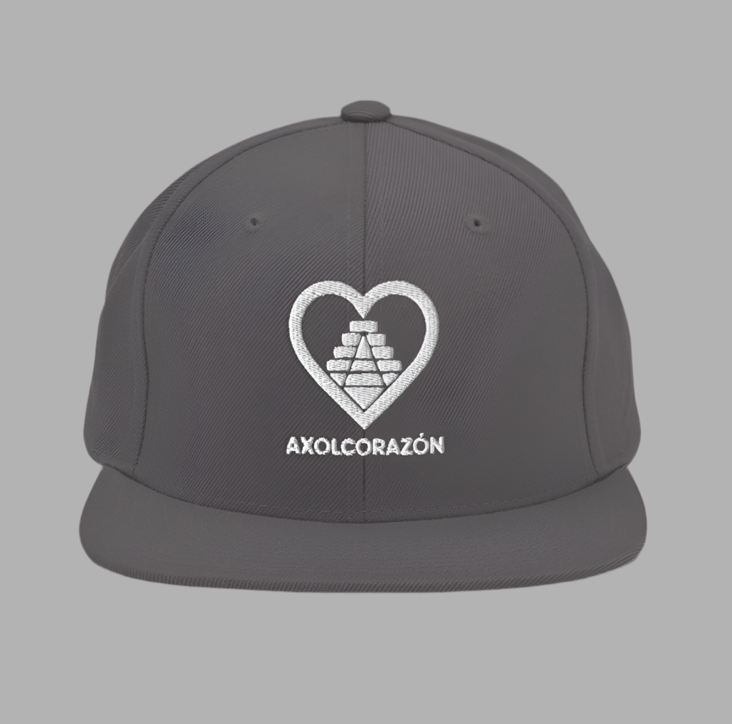 Casquette “Mythe” Grise unisex — style Snapback brodé